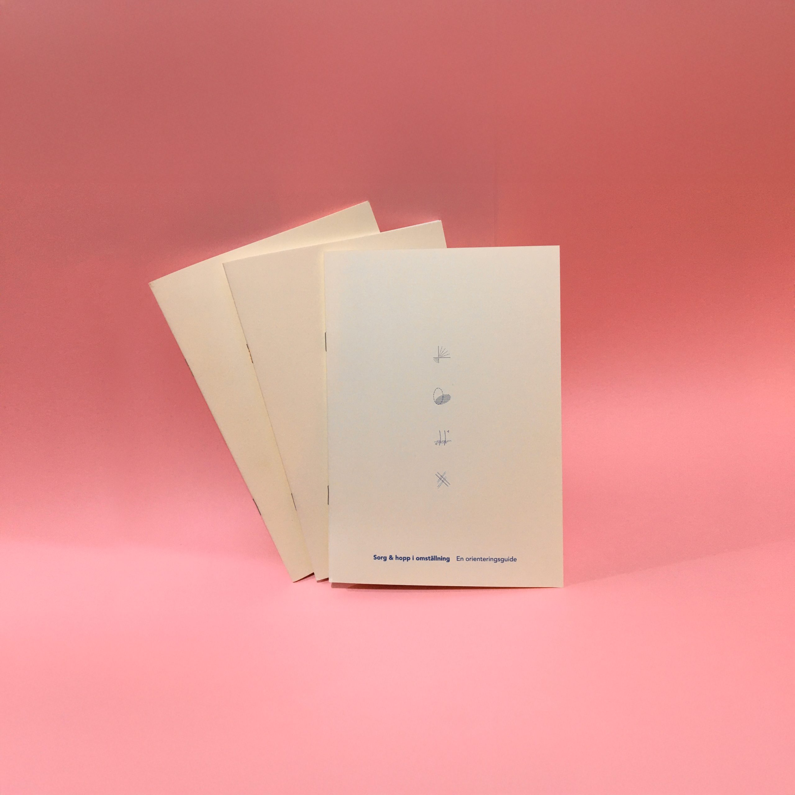 Sorg & hopp i omställning – En orienteringsguide
